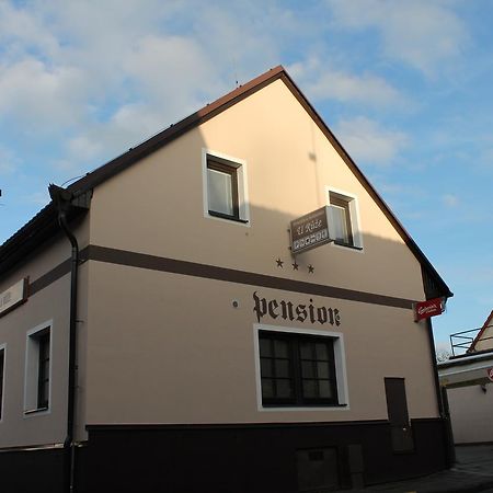 Penzion U Ruze Sezimovo Usti Dış mekan fotoğraf